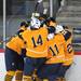 Saline teammates celebrate forward DJ Aben's goal while a fan joins them from behind the glass. Angela J. Cesere | AnnArbor.com
