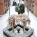 A courtyard. Angela J. Cesere | AnnArbor.com