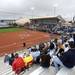 Fans watch the second of two Michigan softball games against Penn State on Saturday afternoon.  Angela J. Cesere | AnnArbor.com
