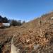 Trees and brush have been removed between the west side of State St. and south side of Stadium in preparation for construction.  AnnArbor.com | Angela J. Cesere