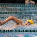 Saline's Adam Whitener competes in the championship heat of the boys 200 yard freestyle relay at the MHSAA swim and dive chapionships at Eastern Michigan University. Angela J. Cesere | AnnArbor.com
