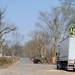 A man spreads around wood chips in a truck, right, that have been chopped from fallen trees by the side of Dexter-Pinckney Road in Dexter on Thursday morning.  Angela J. Cesere | AnnArbor.com

