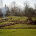A neighbor behind Janet McDole's house burns brush as damaged, chopped-up trees are strewn across the yard after a tornado hit the Carriage Hills neighborhood. Angela J. Cesere | AnnArbor.com