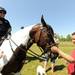 Washtenaw County police Special Deputy Dee Tomshany, left, watches as 12-year-old volunteer Emma McLain, right, pets Tomshany's horse, named Brat, during the Walk and Wag fundraiser for the Humane Society of Huron Valley at Rolling Hills Park on Saturday morning. Angela J. Cesere | AnnArbor.com