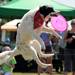 Til the dog catches a frisbee thrown by owner and Drummond Island resident Nancy Bailey during the Walk and Wag fundraiser for the Humane Society of Huron Valley at Rolling Hills Park on Saturday morning. Angela J. Cesere | AnnArbor.com