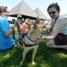 Humane Society of Huron Valley volunteer Cathy Petchell, left, watches as Brighton resident Diana Burnett, right, pets Stoli, a Shiba Inu dog up for adoption, during the Walk and Wag fundraiser for the Humane Society of Huron Valley at Rolling Hills Park on Saturday morning. Angela J. Cesere | AnnArbor.com