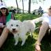 Ann Arbor residents Kelly Kurtz, right, and Denise Becszlko, left, sit with Hobie, a terrier mix, during the Walk and Wag fundraiser for the Humane Society of Huron Valley at Rolling Hills Park on Saturday morning. Angela J. Cesere | AnnArbor.com