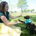 Ann Arbor resident Kristi Fenrich teaches Elmo, a 3-month-old lab and retriever mix, how to shake hands during the Walk and Wag fundraiser for the Humane Society of Huron Valley at Rolling Hills Park on Saturday morning. Angela J. Cesere | AnnArbor.com