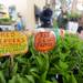 A variety of pepper seedlings on sale at the Frog Holler Organic Farm stand at the first Wednesday Ann Arbor Farmers Market of the year on Wednesday morning in Ann Arbor. Angela J. Cesere | AnnArbor.com