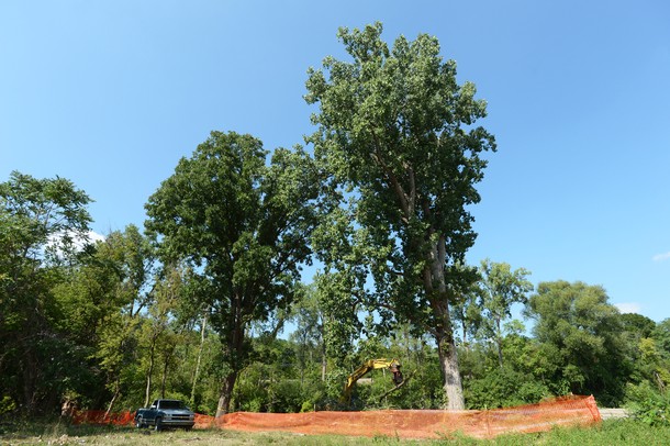 Michcon $3M cleanup of an industry's dirty footprint begins at MichCon site in ...