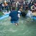 Participants dressed in costumes jump in to one of two pools set up on the Michigan Stadium field as they take part in a Polar Plunge to raise money for the Special Olympics.
Courtney Sacco I AnnArbor.com  