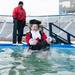 Participants dressed in costumes jump in to one of two pools set up on the Michigan Stadium field as they take part in a Polar Plunge to raise money for the Special Olympics.
Courtney Sacco I AnnArbor.com  