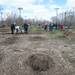 The City of Ypsilanti and ReLeaf Michigan planted a total of 500 trees Friday and Saturday along the vacant Water Street property.
Courtney Sacco I AnnArbor.com