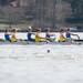 The 2013 Mid-American Rowing Association championships held on Ford lake in Ypsilanti Township, Saturday April 27.
Courtney Sacco I AnnArbor.com  