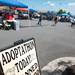 Petco held an "adopt-a-thon" in the parking lot of their Ann Arbor location, Saturday, July 20.
Courtney Sacco I AnnArbor.com  
