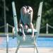 Nikki K jumps off the board during the 15 and over diving portion of the WISC championships, at the Huron Valley Swim Club in Ann Arbor, Wednesday, July 24.
Courtney Sacco I AnnArbor.com     