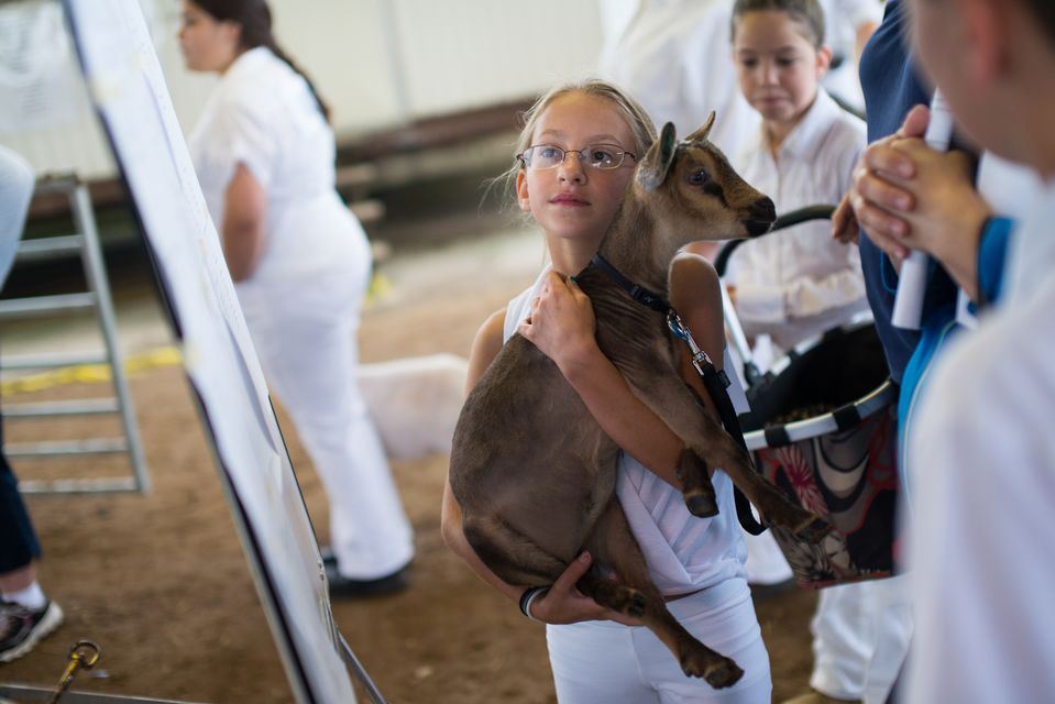 More images from the Washtenaw County 4-H Youth Show