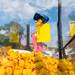 Colin Duckett dumps a bucket of rubber ducks in to the duck drop above the Huron river, Sunday, August 18. 
Courtney Sacco I AnnArbor.com  