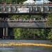 Spectators watch as about 1,300 rubber ducks race down the Huron river during the Ypsilanti Heritage Festival duck race, Sunday, August 18.
Courtney Sacco I AnnArbor.com   