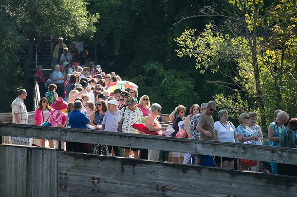 More than 800 people lined up to watch atQVC's "In the Kitchen with Dave" shoot a live show in Ypsilanti's Riverside park, Sunday, Aug, 25.
Courtney Sacco I AnnArbor.com 