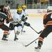 The Wolverines right wing Zach Hyman drivers the puck down the ice against the Falcons Tuesday Jan. 8.
Courtney Sacco I AnnAarbor.com  