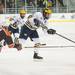 The Wolverines defensemen Lee Moffie passes the puck against The Bowling Green Falcons, Tuesday Jan. 8.
Courtney Sacco I AnnArbor.com  