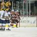 The Wolverines celebrate after scoring a goal during the sound period making the score to 1 to 2 Falcons, Tuesday Jan. 8.
Courtney Sacco I AnnArbor.com  