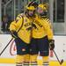 Wolverines Jacob Trouba and Jon Merrill celebrate after Wolverines get what would be their only goal of their game against the Nanooks Saturday Jan. 12.
Courtney Sacco I AnnArbor.com   