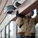 Laborer Rob Smith carries away the Borders sign after being removed from the building on Monday, Dec. 31. Daniel Brenner I AnnArbor.com