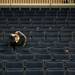 Michigan sophomore Tom Idzkowski takes a moment after a watch party at Crisler Arena where the Wolverines lost to Louisville on Monday, April 8. Daniel Brenner I AnnArbor.com