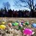 Colorful eggs at the Ann Arbor Jaycees Easter Egg Scramble in Buhr Park on Saturday, March 30. Daniel Brenner I AnnArbor.com