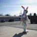The Easter Bunny walks to the next stop on the 11th Annual Saline Eggstravaganza on Saturday, March 30. Daniel Brenner I AnnArbor.com
