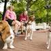 Beth and Mark Kudla dog-sit Earl (left), Lucy (center) and Dulcinea (right) on Monday. Daniel Brenner I AnnArbor.com