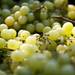 A box of grapes waits for 5k participants at the finish line on Sunday, July 14. Daniel Brenner I AnnArbor.com