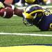 Michael Shaw comes up a few inches short in his touchdown dive as Michigan defeated the University of Minnesota Saturday October 1, 2011. Michigan won the game 58-0 Jeff Sainlar I AnnArbor.com 
