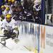 Michigan's Mac Bennett digs the puck away from the wall as Michigan took on Niagara University in their season opener at Yost Ice Arena Tuesday October, 4, 2011. Michigan won the match 5-0. Jeff Sainlar I AnnArbor.com
