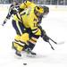 Michigan's Zach Hyman battles for the puck with Joe Campanelli as the Michigan Wolverines took on the Bentley Falcons at Yost Ice Arena Saturday October 8, 2011. Michigan won the match 4-1. Jeff Sainlar I AnnArbor.com