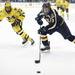 Bentley's Justin Breton takes the puck up the ice as the Michigan Wolverines took on the Bentley Falcons at Yost Ice Arena Saturday October 8, 2011. Michigan won the match 4-1. Jeff Sainlar I AnnArbor.com