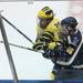 Bentley's Joe Campanelli is checked into the glass as the Michigan Wolverines took on the Bentley Falcons at Yost Ice Arena Saturday October 8, 2011. Michigan won the match 4-1. Jeff Sainlar I AnnArbor.com