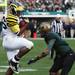 Kevin Koger catches a pass from Devin Gardner as Michigan took on Michigan State Saturday October 15, 2011 at Spartan Stadium.  Jeff Sainlar I AnnArbor.com