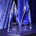 The executive and company of the year awards are displayed at the Deals of the Year awards banquet at Eastern Michigan University Student Center on Friday, Nov. 4, 2011. Jeff Sainlar I AnnArbor.com